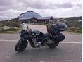 SUZUKI GSF 1250 S (BANDIT) 2007 - 9
