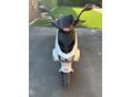 APRILIA SR 50 2003/8 - 4
