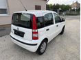 FIAT PANDA 2010/12 - 7