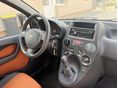FIAT PANDA 2008/2 - 11