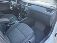SKODA OCTAVIA 2018/8 - 8