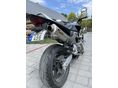 HONDA CB 300 F 2003/6 - 3