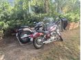 YAMAHA XV 250 (VIRAGO) 1994/4 - 2
