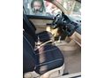 VOLKSWAGEN POLO 2002 - 6