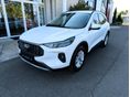 FORD KUGA 2026 - 2