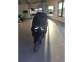 YAMAHA X-MAX 300 2024/3 - 6