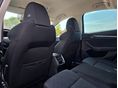 SKODA OCTAVIA 2021/1 - 23
