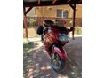 HONDA CBR 1100 XX 2002/12 - 2