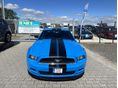 FORD MUSTANG 2013/4 - 2