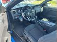 FORD MUSTANG 2013/4 - 10