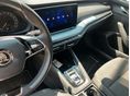 SKODA OCTAVIA 2023/3 - 5
