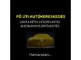 TOYOTA HILUX 2.5 D-4D 4x4 Double Comfort AC MAGY.O.-i!ELSŐ.TULAJ!144 LE!313.e.KM!MANUÁLIS.VÁLTÓ!2.8.T.V-HOROG!
