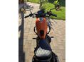 HONDA CMX 500 REBEL 2025 - 4