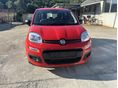 FIAT PANDA 2022/1 - 3