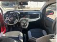 FIAT PANDA 2022/1 - 6