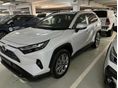 TOYOTA RAV 4 Rav4 2.5 Hybrid Executive e-CVT