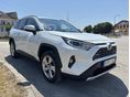 TOYOTA RAV 4 2019/8 - 6