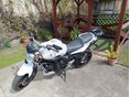 YAMAHA FZ6-N 