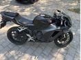 HONDA CBR 600 RR 2024 - 3