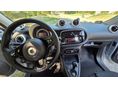 SMART FORFOUR 2020/11 - 12