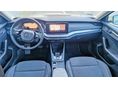 SKODA OCTAVIA 2021/8 - 5