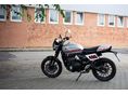 TRIUMPH EGYÉB 2026/2 - 2