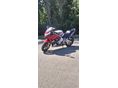 HONDA CBR 600 F3 1998/2 - 2