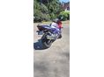 HONDA CBR 600 F3 1998/2 - 4