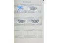 FORD FOCUS 2009/12 - 13