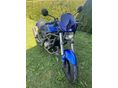 CAGIVA V-RAPTOR 