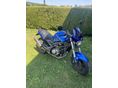 CAGIVA V-RAPTOR 2001/5 - 3