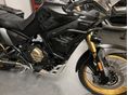 VOGE DS800X RALLY 2026/8 - 19