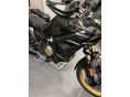 VOGE DS800X RALLY 2026/8 - 20