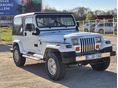 JEEP WRANGLER 1994/4 - 2