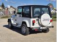 JEEP WRANGLER 1994/4 - 4