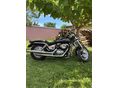 SUZUKI VZ 800 (MARAUDER) 2003/6 - 7