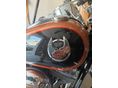HARLEY-DAVIDSON DYNA 2008/1 - 3