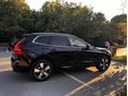 VOLVO XC60 2019/6 - 2