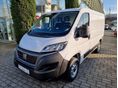 FIAT DUCATO 2026 - 2