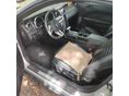 FORD MUSTANG 2005/10 - 11