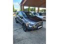 FORD ECOSPORT 1.0 EcoBoost Business (Automata)