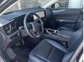 LEXUS NX 2025/6 - 2