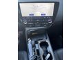 LEXUS NX 2025/6 - 6