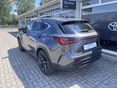 LEXUS NX 2025/6 - 8