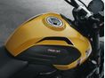 TRIUMPH TRIDENT 2026/7 - 5