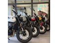 TRIUMPH TRIDENT 2026/7 - 4