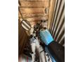 MZ ETZ 251 1990/10 - 3
