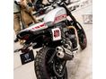 TRIUMPH EGYÉB 2026/6 - 5