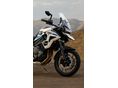 TRIUMPH TIGER 1200 2026/7 - 8