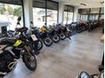 TRIUMPH TIGER 1200 2026/7 - 12